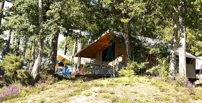 Partez dans les Landes cet été