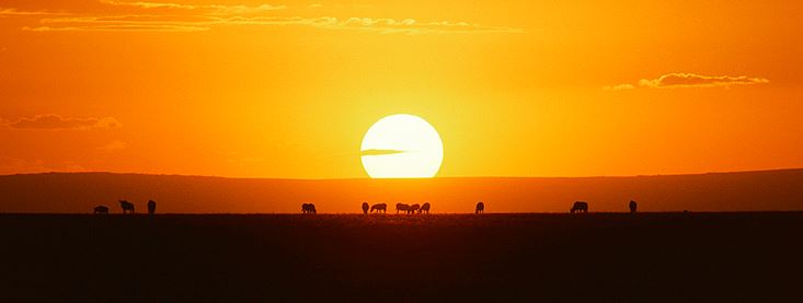 Où et quand partir en Afrique ?